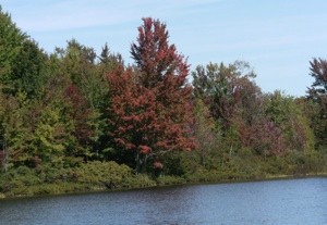 Scenery: Lake Benton, Michigan
