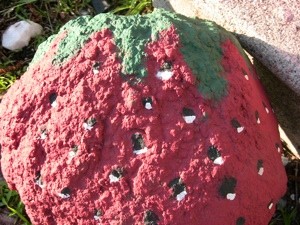 Garden: Painted Strawberry Rock