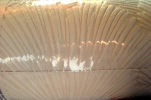 Discontinued Wallpaper: Super Fresco White Fan #283
