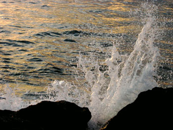 Water Scene