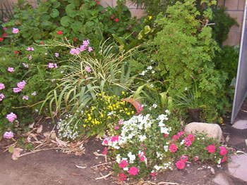 Garden Path