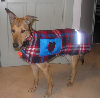 Honey's Dog Coat