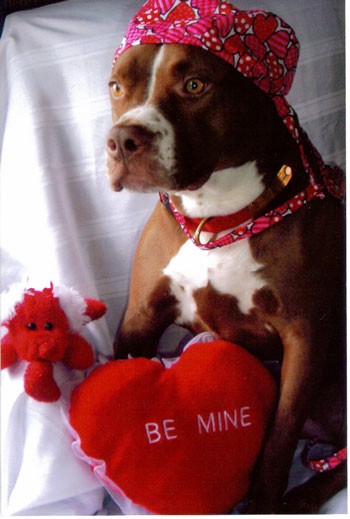 Valentine Kokoa Girl