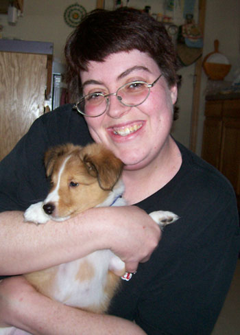 Odin - Shetland Sheep Dog