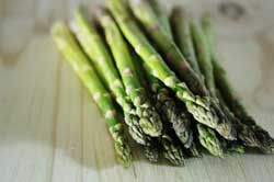 Planting Asparagus in Raised Beds