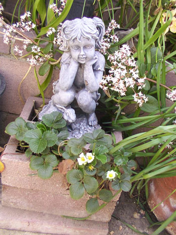 Garden Girl and Strawberries