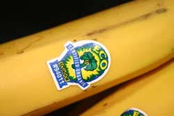 Organic Food FAQ