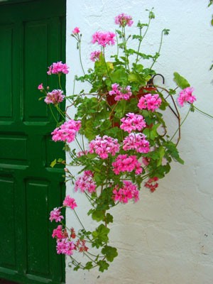 Space Saving Tips for Patio and Balcony Gardening