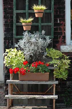 Space Saving Tips for Patio and Balcony Gardening