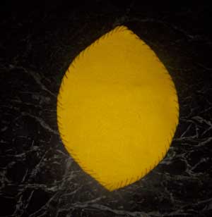 Felt Purse