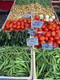 Summer Adventure:  Farmers Markets