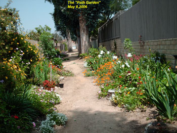 Great Grannie Vi's Path Garden