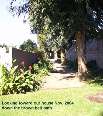 Great Grannie Vi's Path Garden in November Before Planting