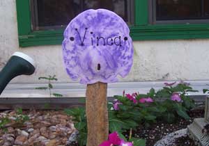 Sand Dollar Plant Markers