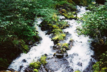 Wahkeena Falls, Oregon