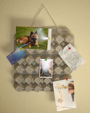 egg carton bulletin board