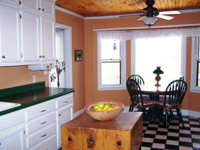 RE: Advice On Painting Kitchen With Green Countertops & White Cabinets