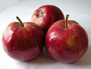 Growing: Apples
