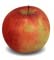 Jonagold Apple