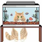 Fish Tank Screensaver for My Cat