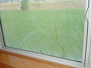 hard water stains on windows
