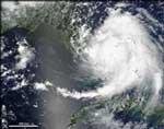 Inexpensive Ways to Prepare for Hurricanes