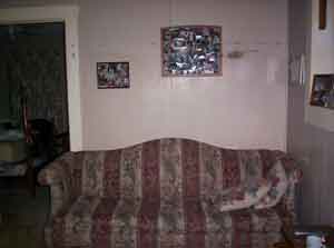matching room color for my couch